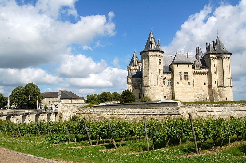 vignes-chateau-chinon-lachiquita-flickr-bysa20