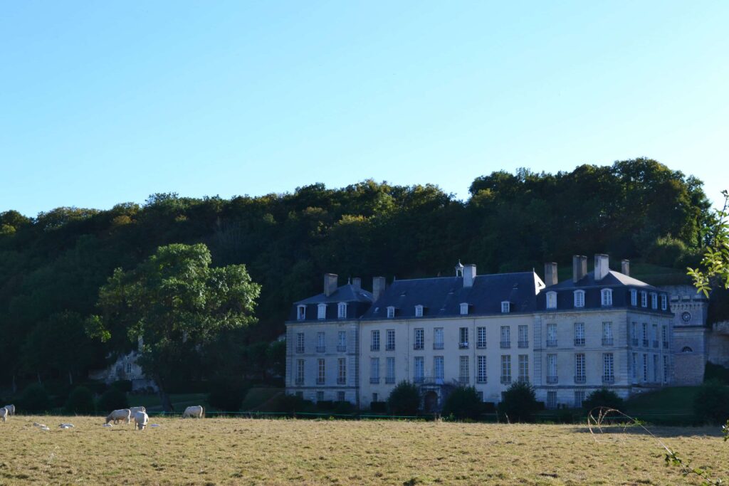 chateau-rochambeau-chatmouette