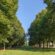 chateau-allee_0