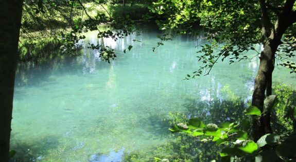 Eaux Bleues de Tavers