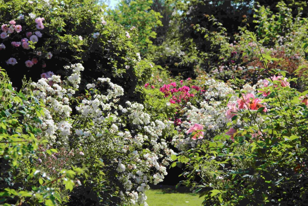 Jardins de Roquelin