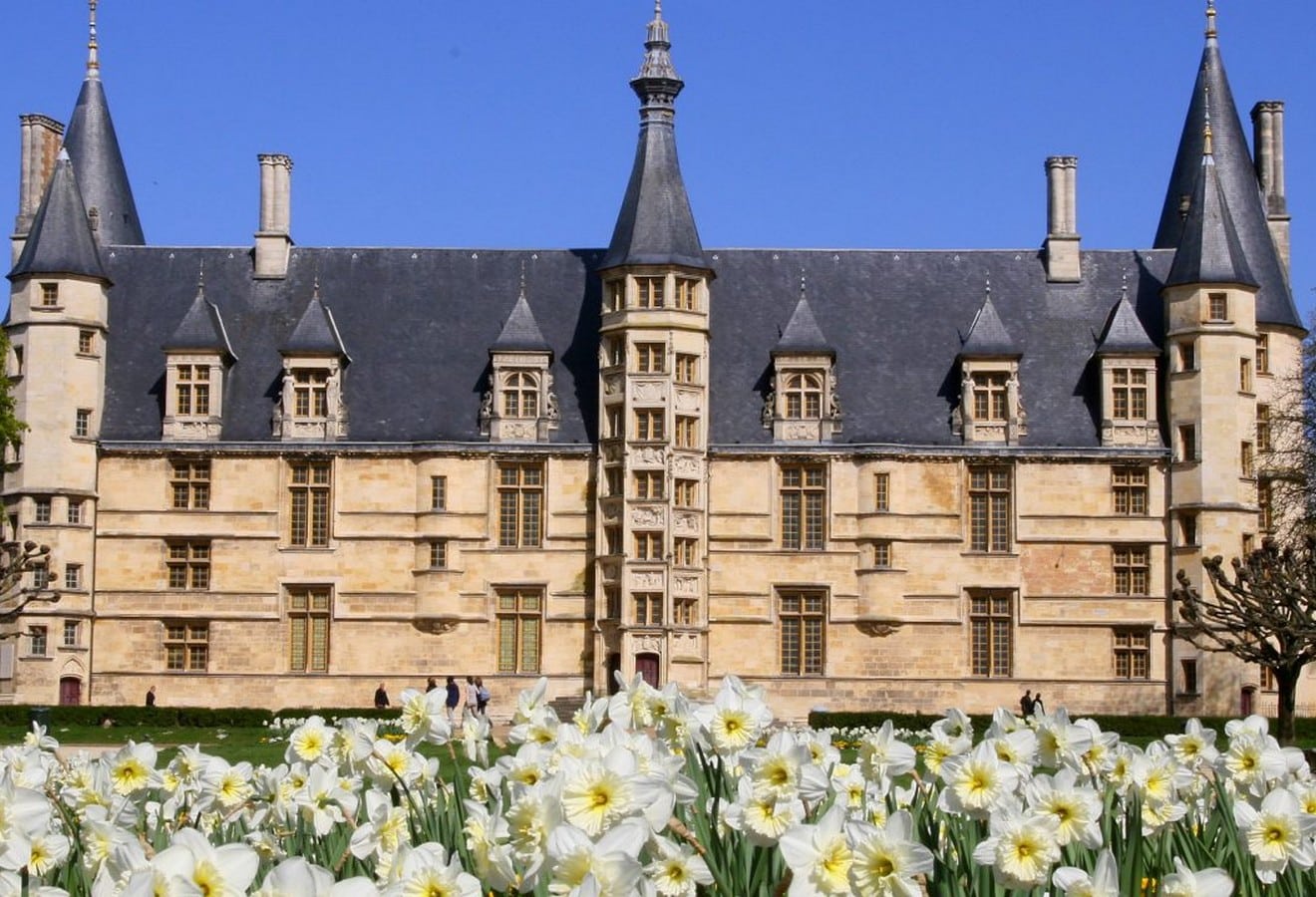 palais-ducal-nevers-jonquilles-printemps