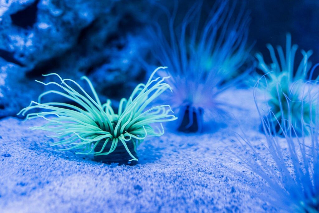 grand aquarium de touraine 2