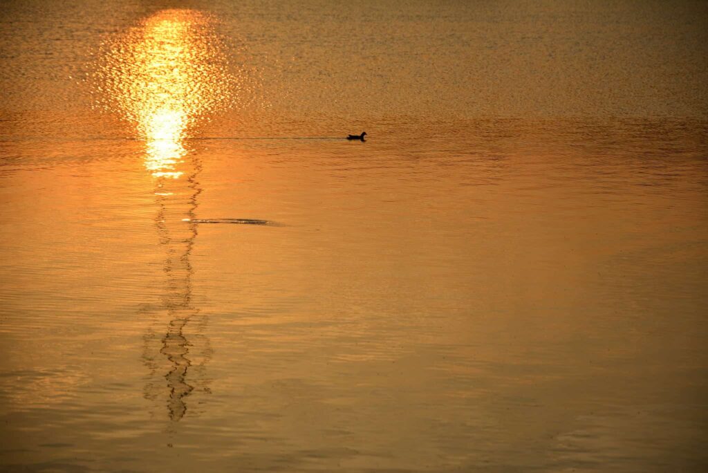 Loire coucher soleil - Eric Riflet - C - My Loire Valley