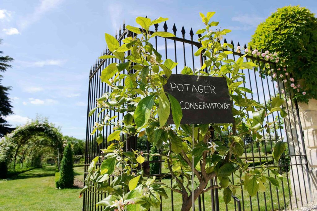 portager-conservatoire-tomates-château-de-la-bourdaisière