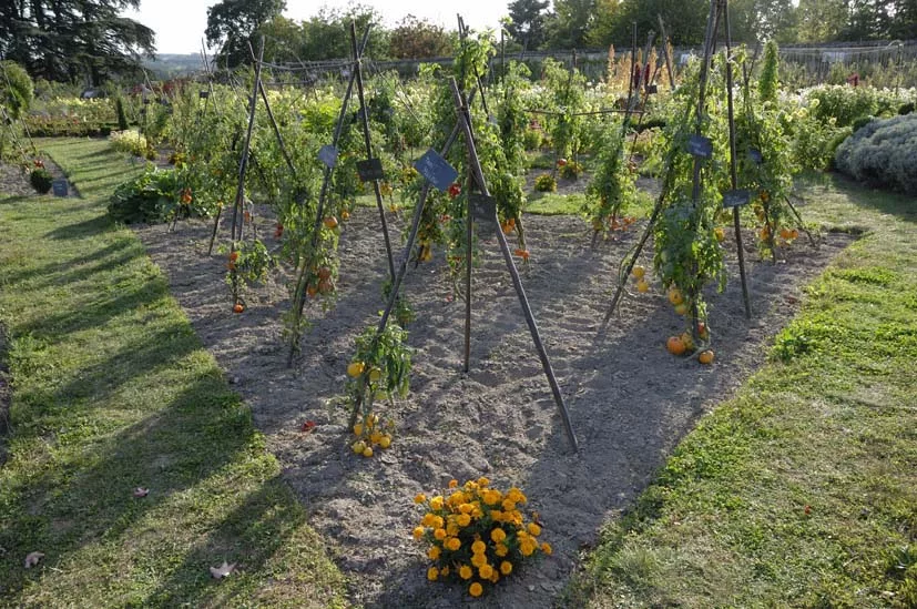 rche-potager-chateau-de-la-bourdaisiere