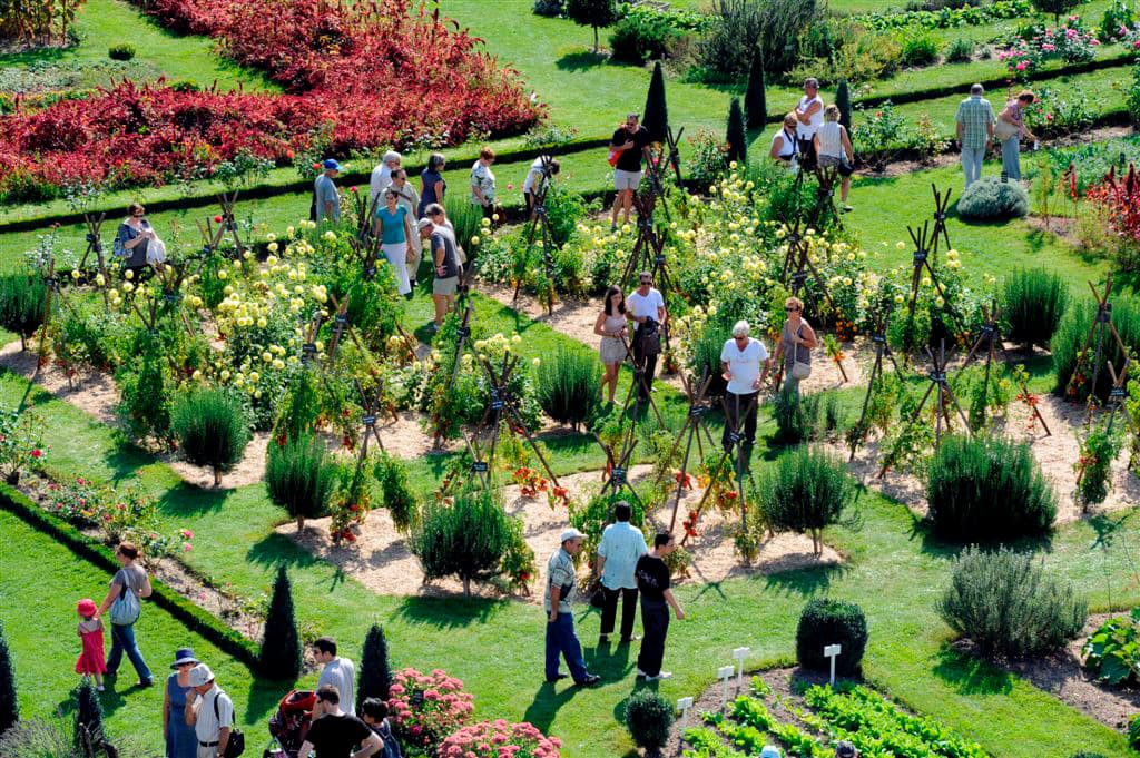 tomates-plantsconservatoire-tomates-château-de-la-bourdaisière