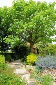 Jardin de Marie - Juin 2013 - Valentin Laebens © Tourisme & Territoires du Cher