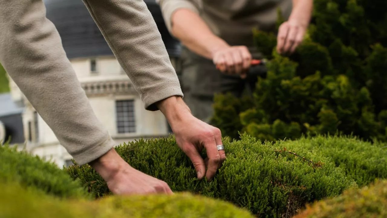 Taille des mini-jardins © Parc Mini-Châteaux