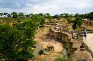 Vallée des rhinoceros © Bioparc