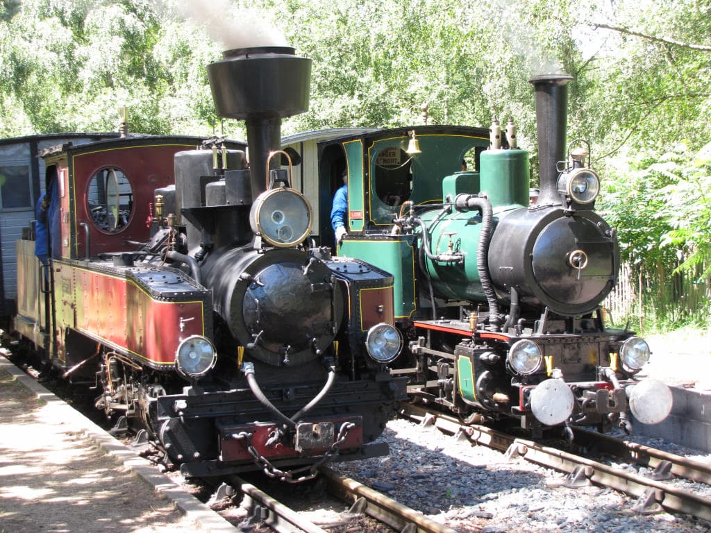 locomotive - lac de rillé - (c) catherine-jubault