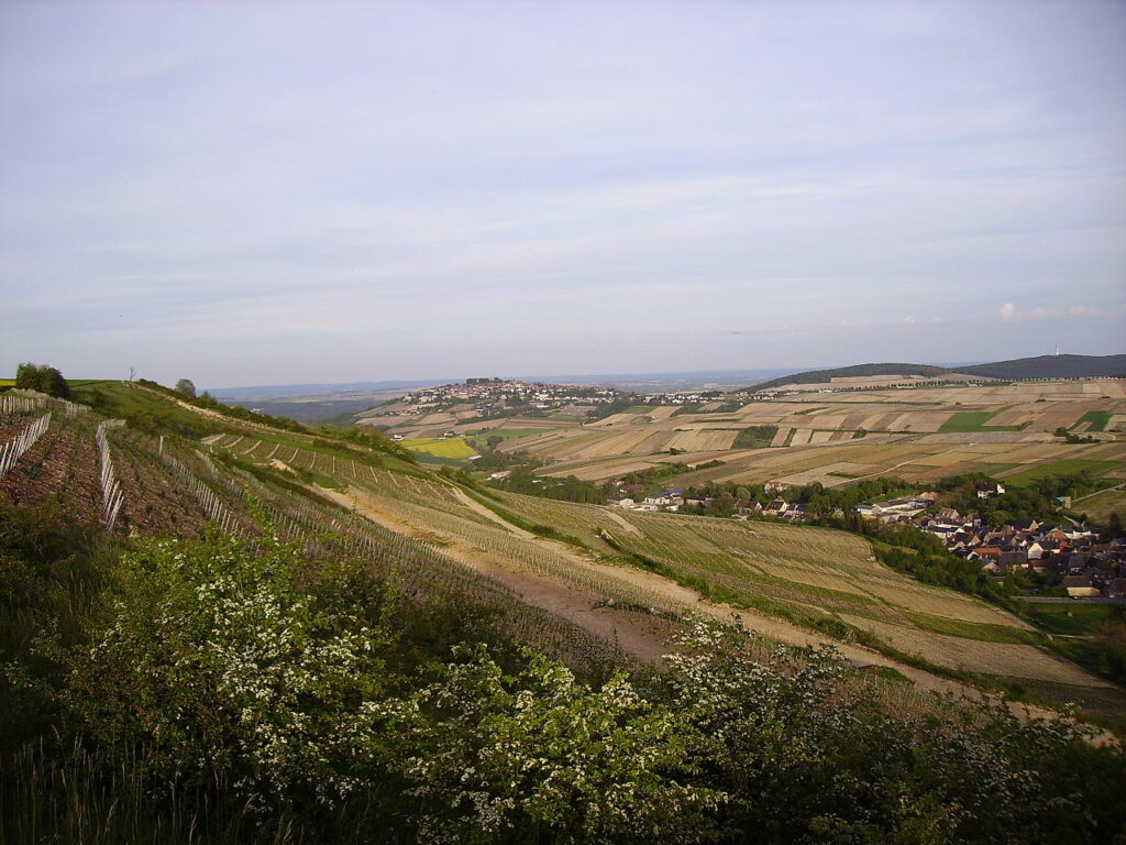 chavignol-vignes(cc)JPC24M