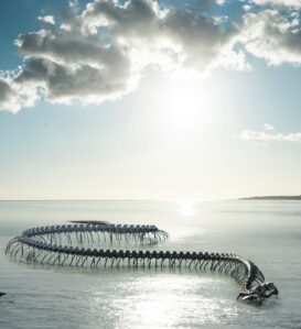 serpent-des-mers-estuaire-nantes©franck tomps