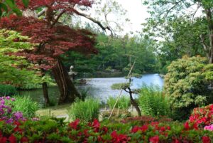 Jardin de la pagode - Parc Oriental de Maulévrier