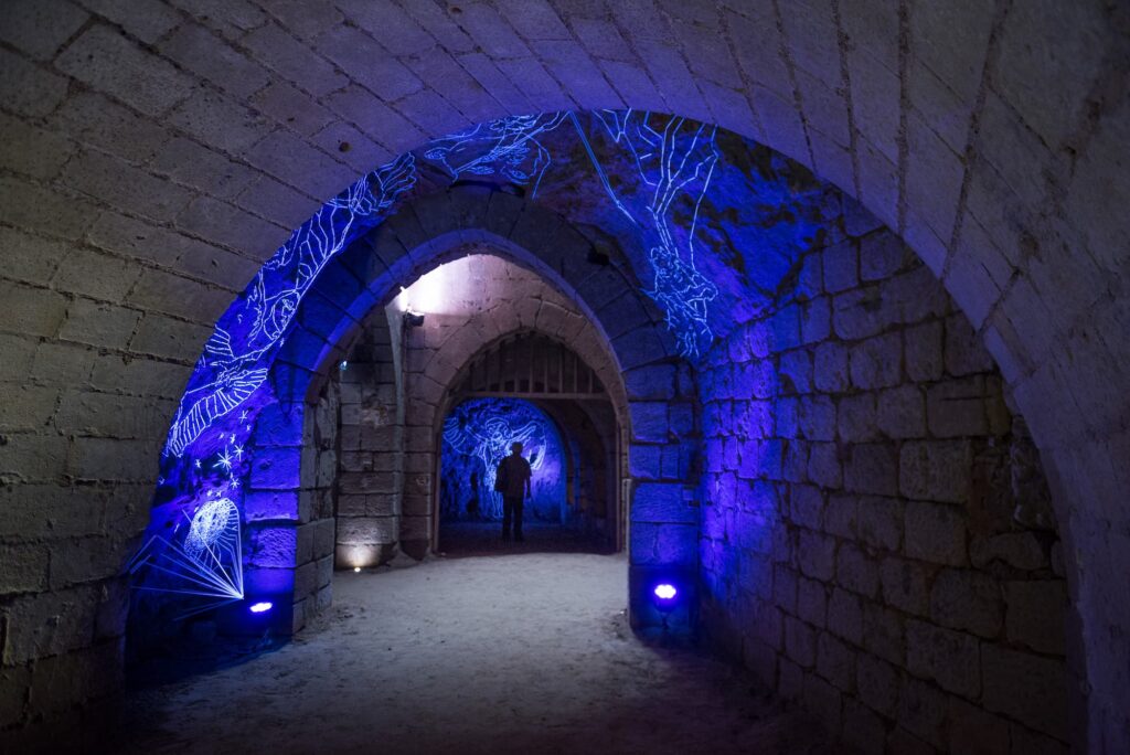 La Crypte des effraies - Abbaye royale de Fontevraud