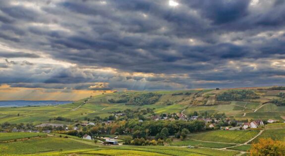 Vignobles de Sancerre