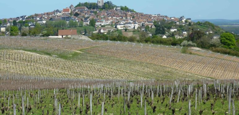 sancerre