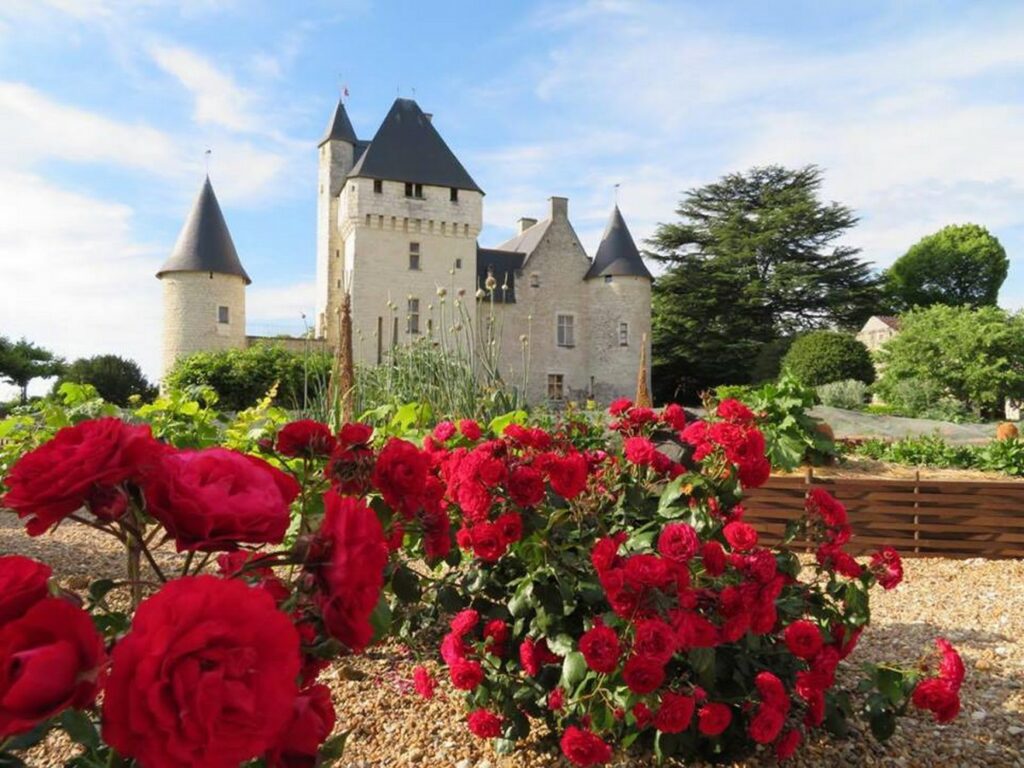 chateau du rivau et roses