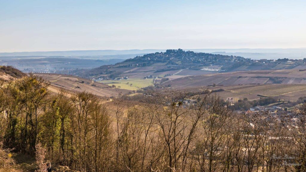 sancerre