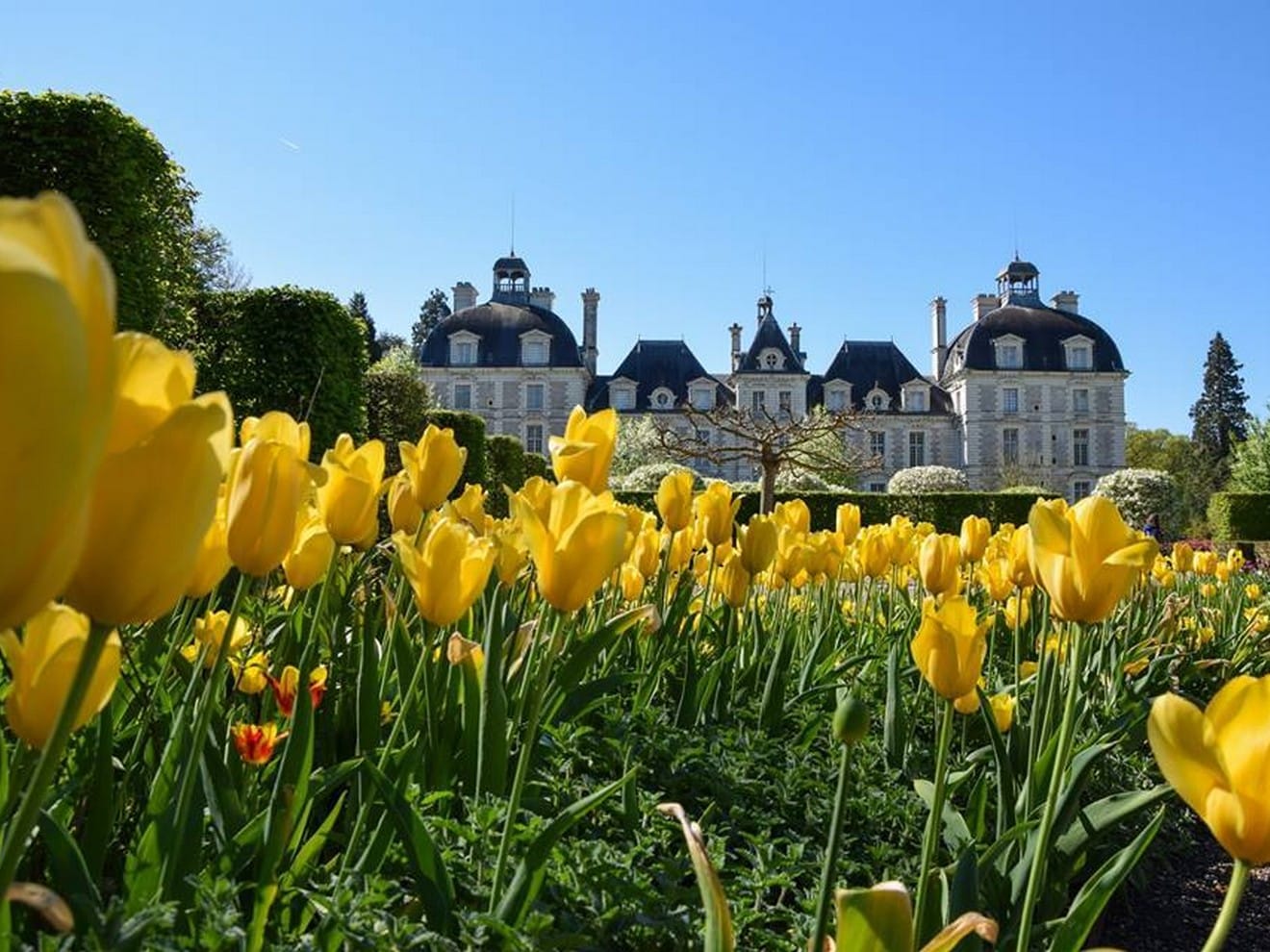 chateau de cheverny