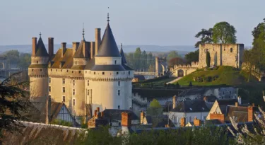 Château de Langeais vue générale