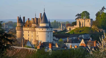 Château de Langeais Vue générale