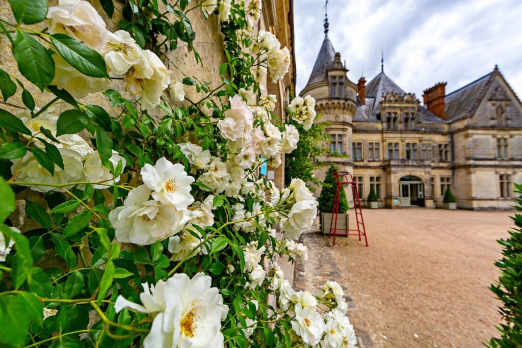 Château BourChâteau Bourdaisière Fleursdaisière Fleurs