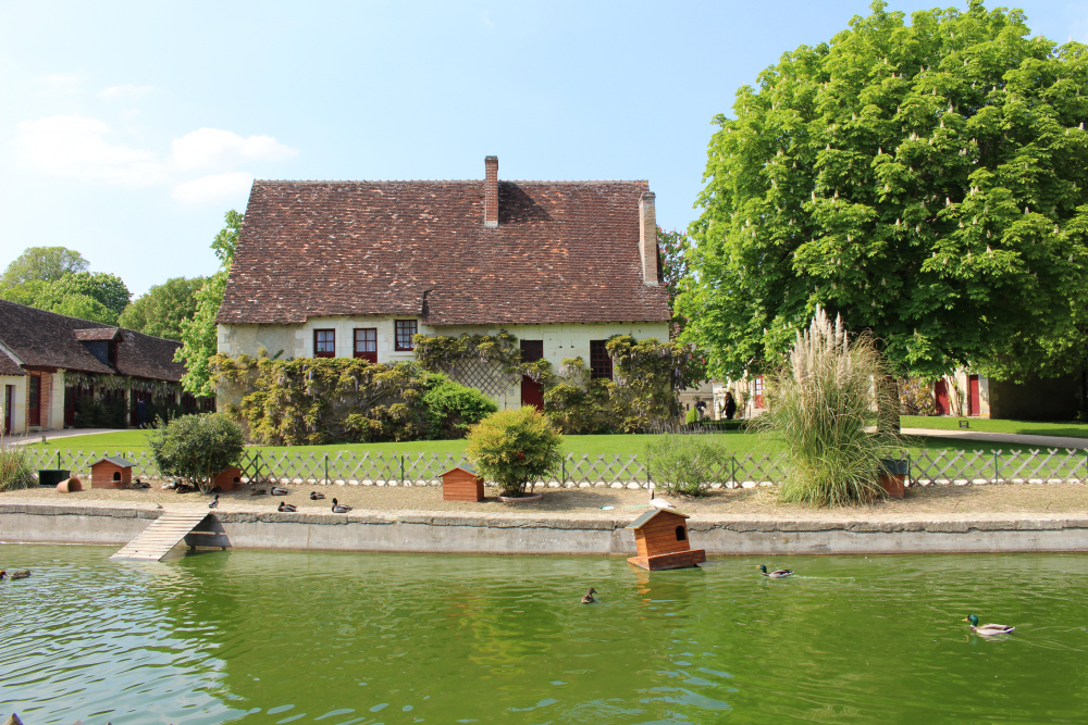 ferme chenonceau©Boussole Voyageuse