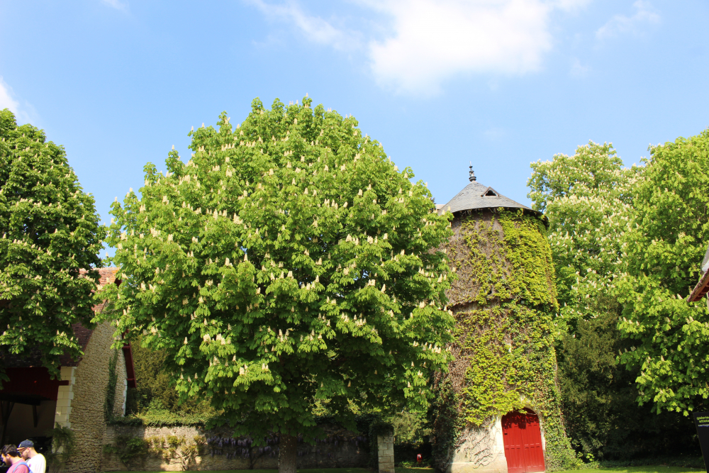 moulin ferme chenonceau©Boussole Voyageuse