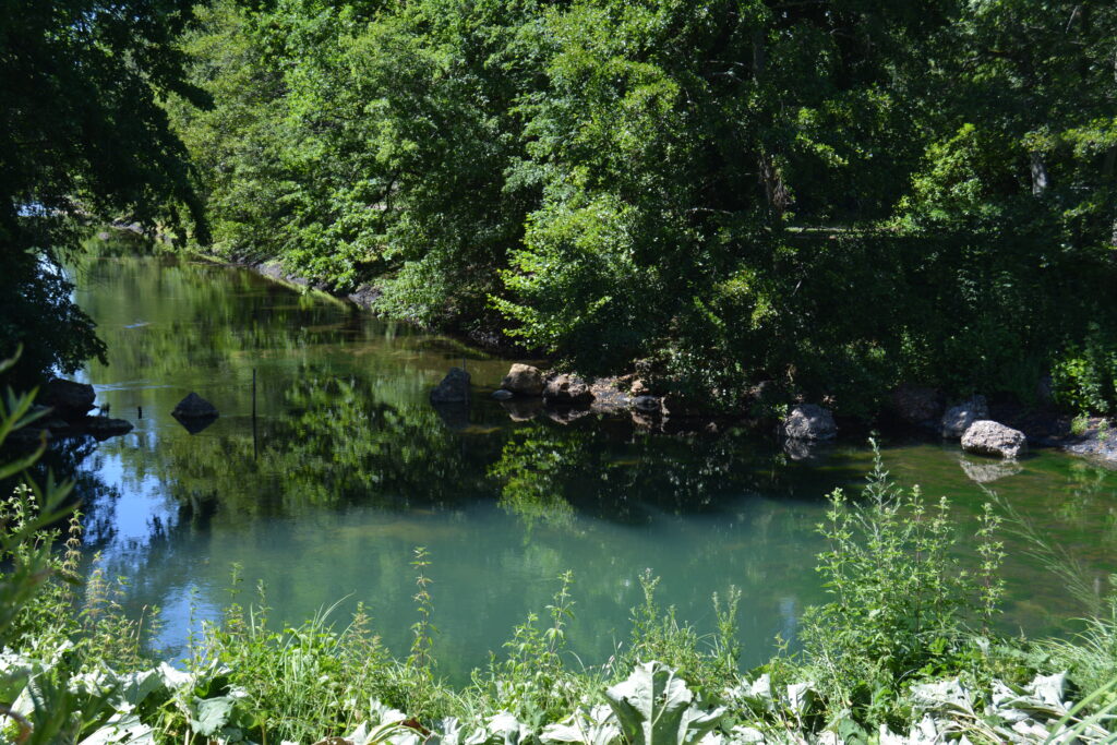 Le Bouillon - parc floral d'orleans