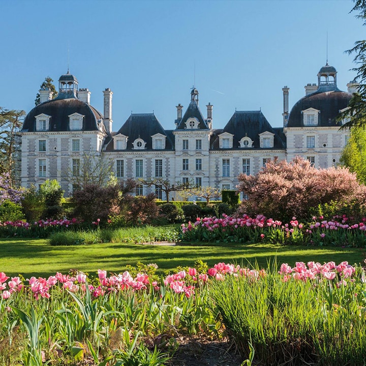 Le château de Cheverny et ses jardins