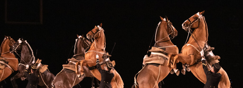 Festival-des-Ecuyers-credit-SFC-cadrenoir-ifce-01