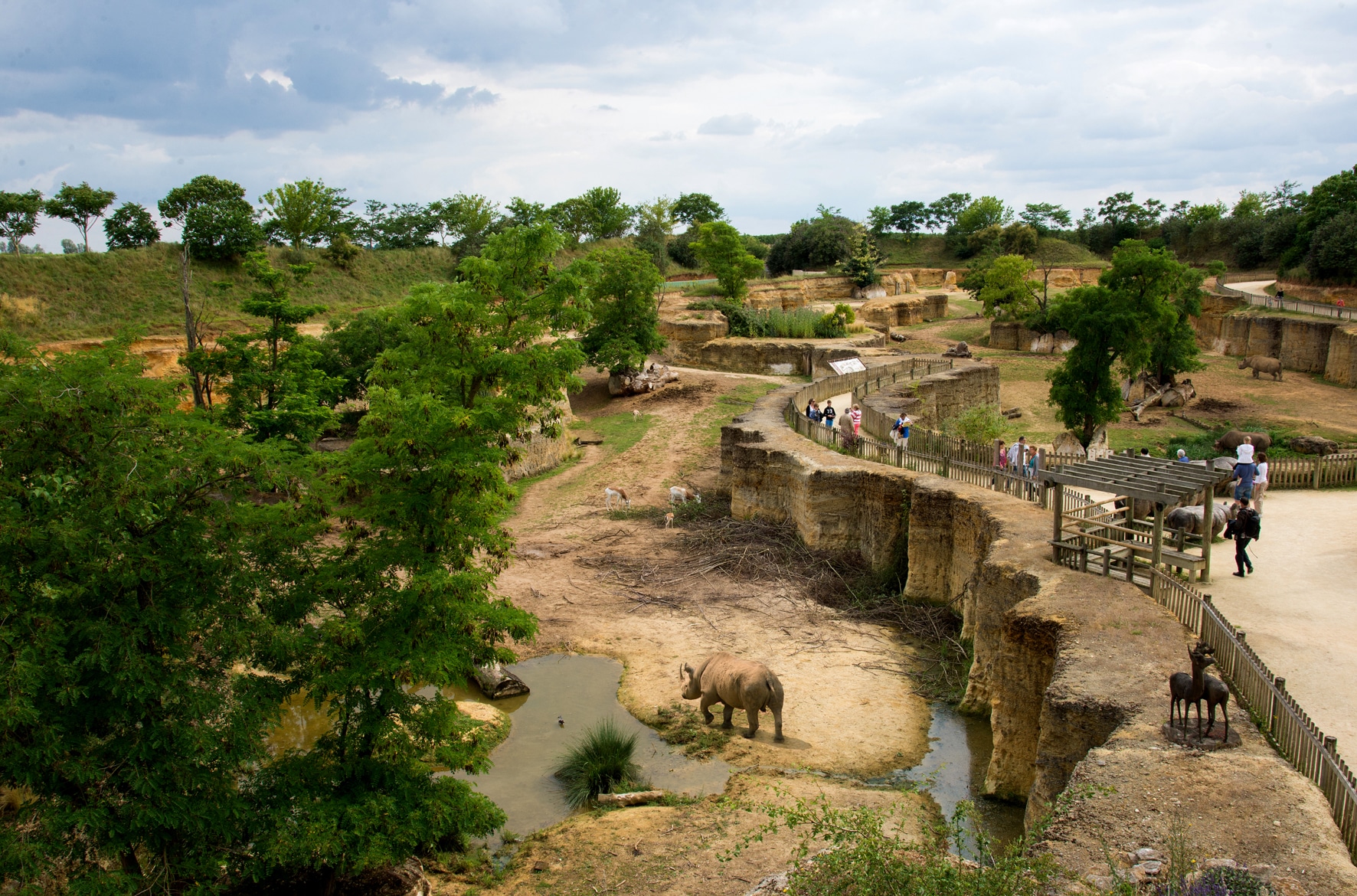 bioparc de doué-la-fontaine