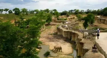 bioparc de doué-la-fontaine