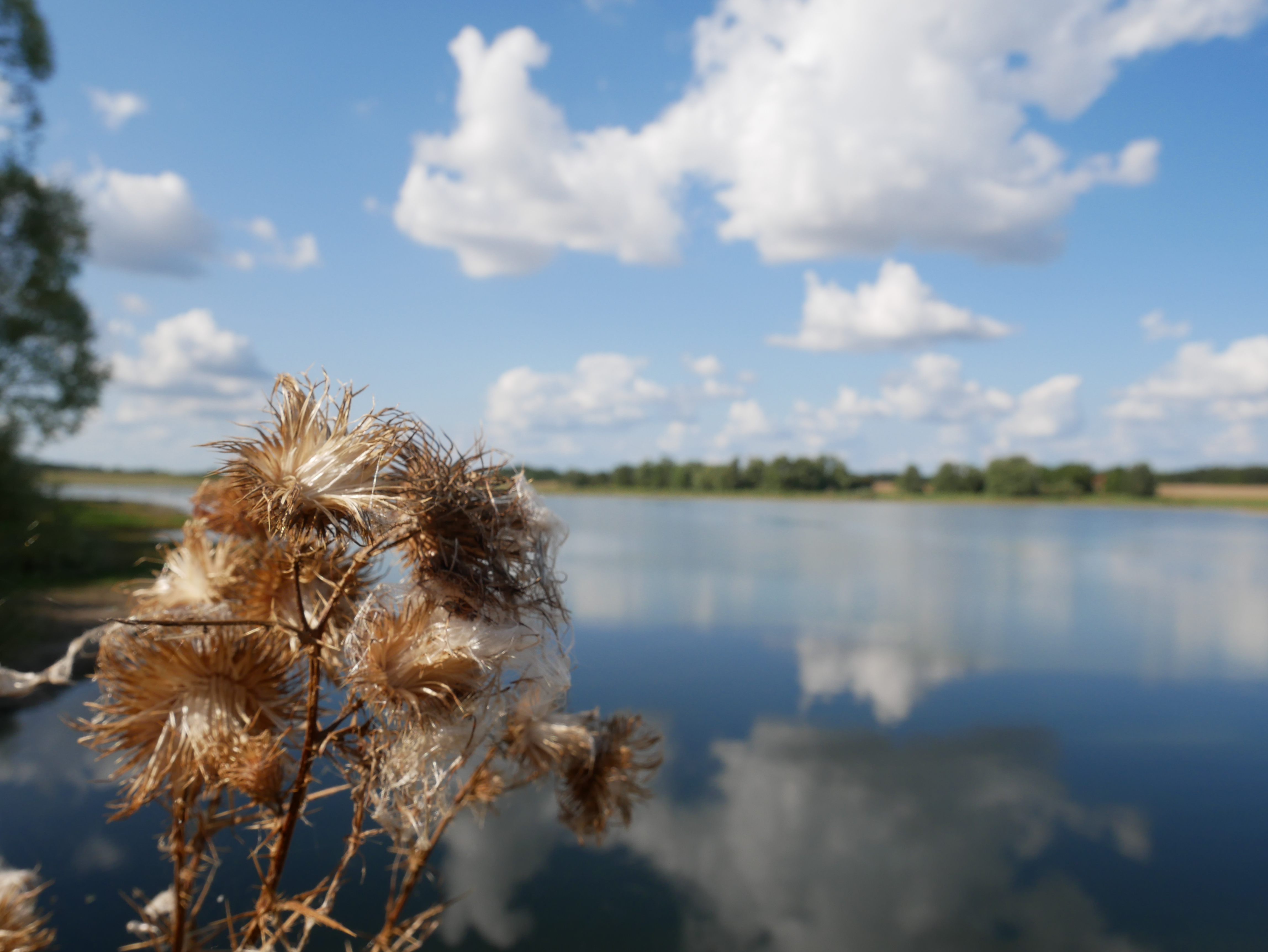 Lac de Rille Touraine Nature