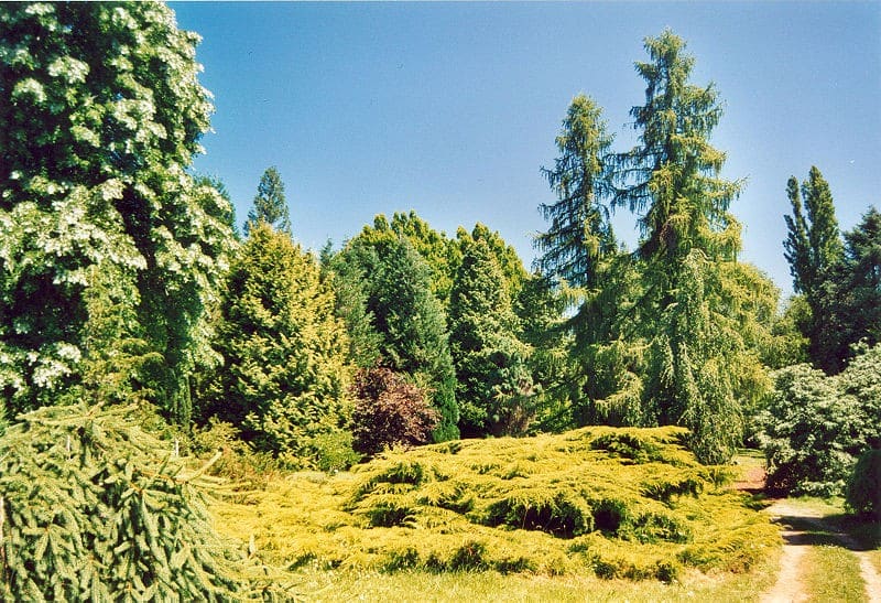 Loiret-Nogent-sur-Vernisson-Arboretum-des-Barres-by-Patrick-Giraud