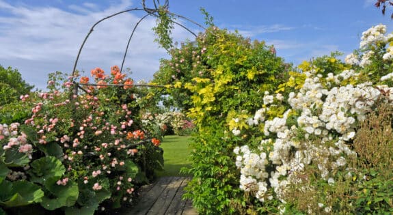 Les jardins de Roquelin