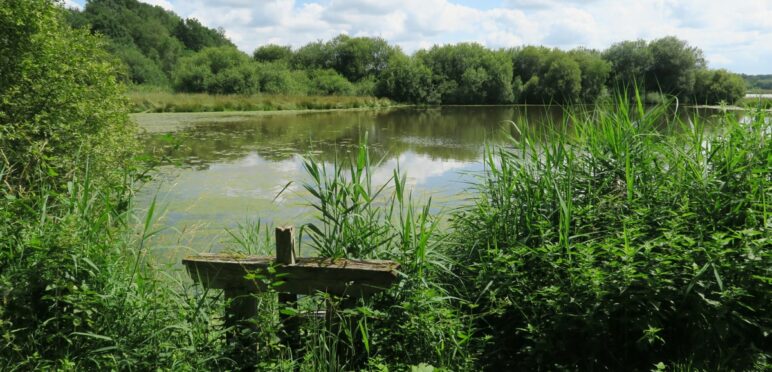 etang-de-sologne-VTreney_CRTCentreValdeLoire