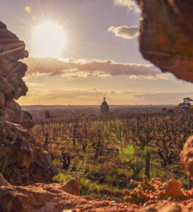 route-des-vins-olivier-prt