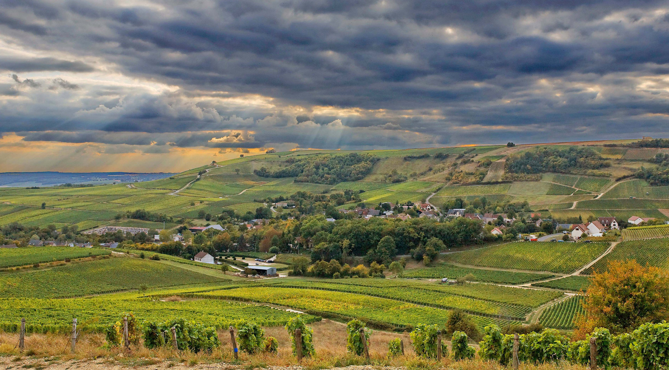 vignobles-sancerre-vins-centre-loire-BIVC_CR-Christophe-Mouton