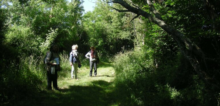 Sentier rural et botanique