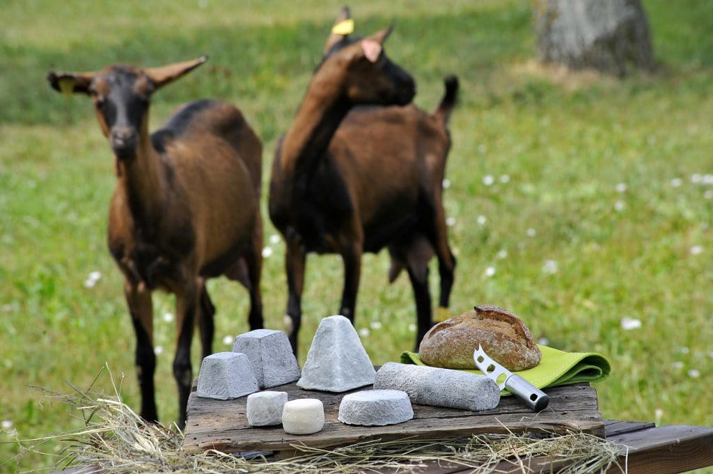 Plateau de Fromages