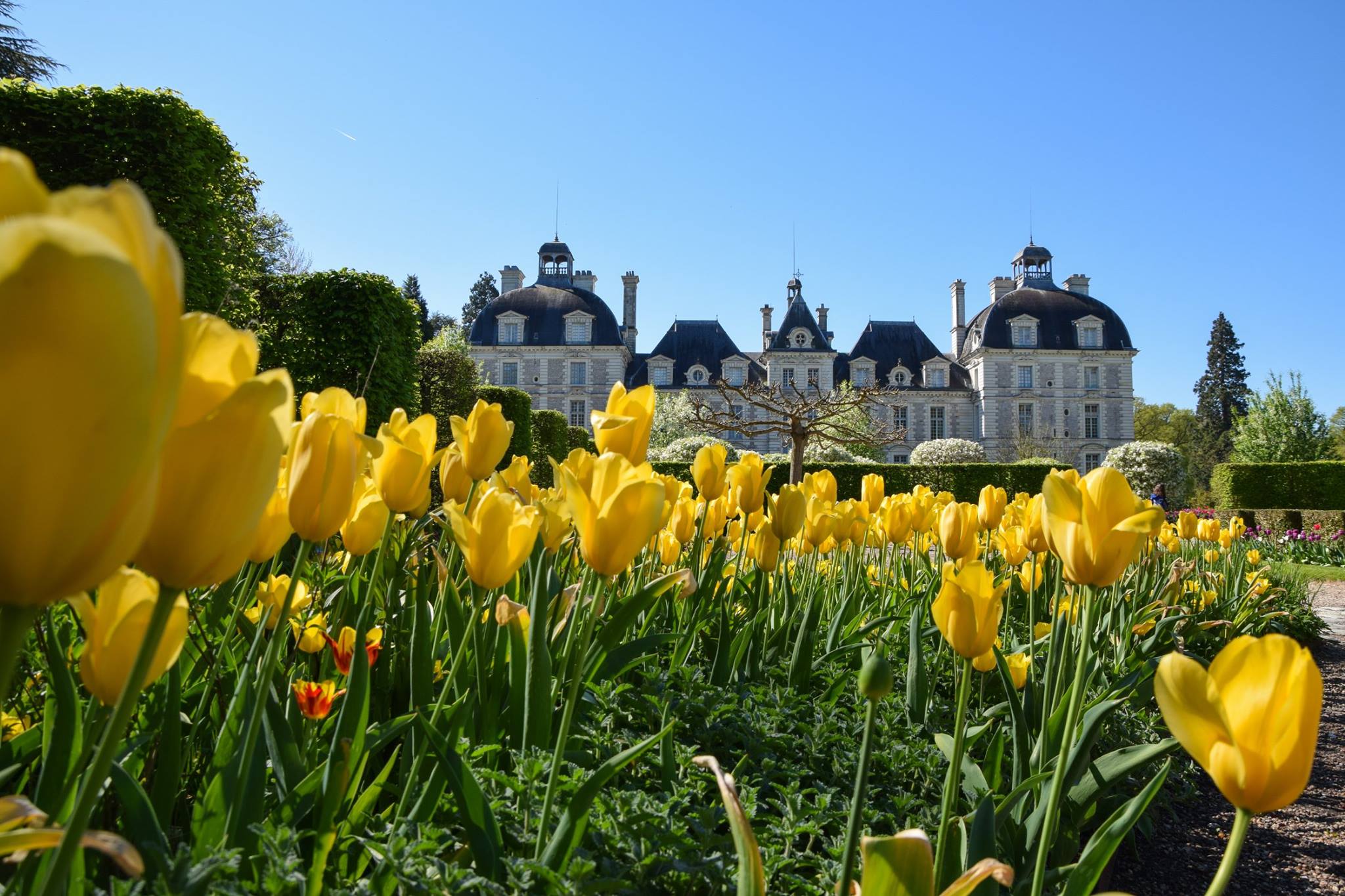 Chateau de Cheverny