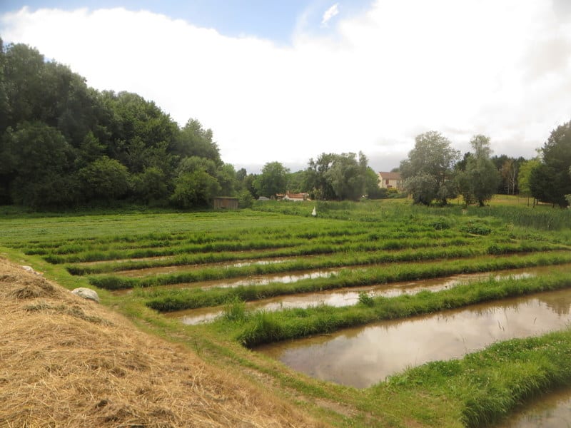 Chemins de Compostelle du Loiret - © Asso Compostelle 45