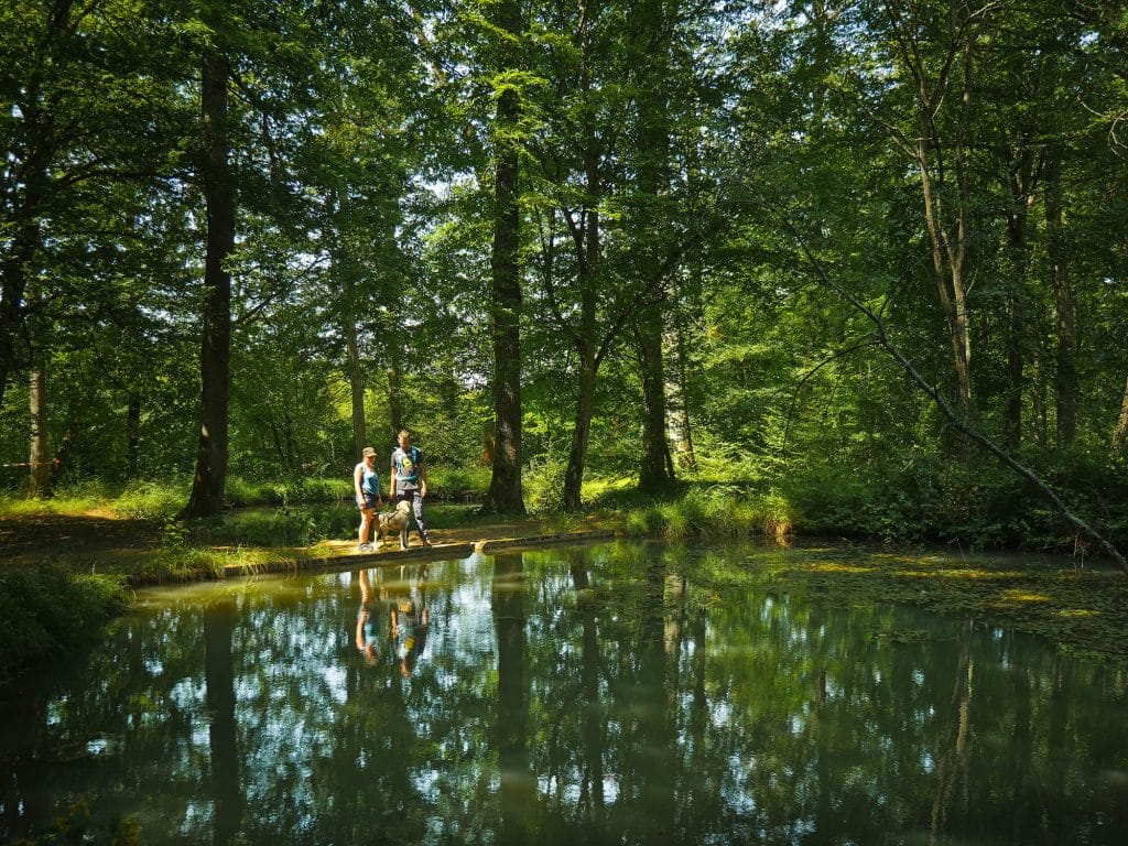 foret des bertranges