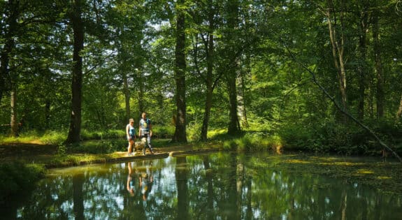 foret des bertranges