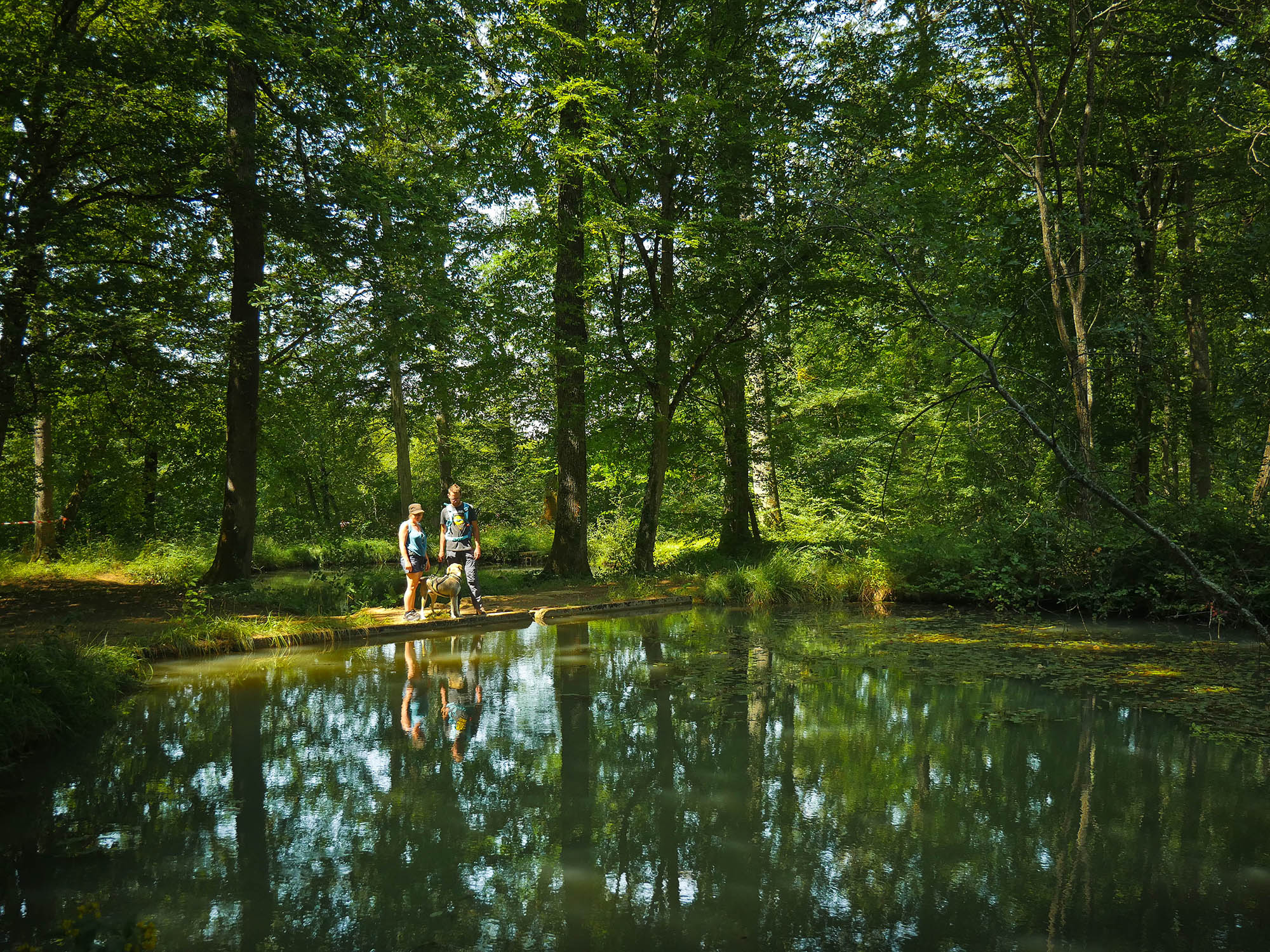 foret des bertranges