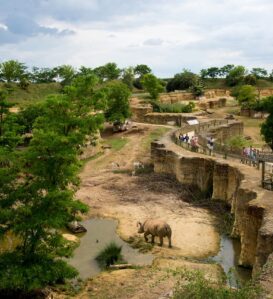 Vallée des Rhinocéros, Bioparc de Doué la Fontaine