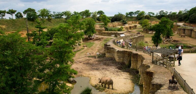 Vallée des Rhinocéros, Bioparc de Doué la Fontaine