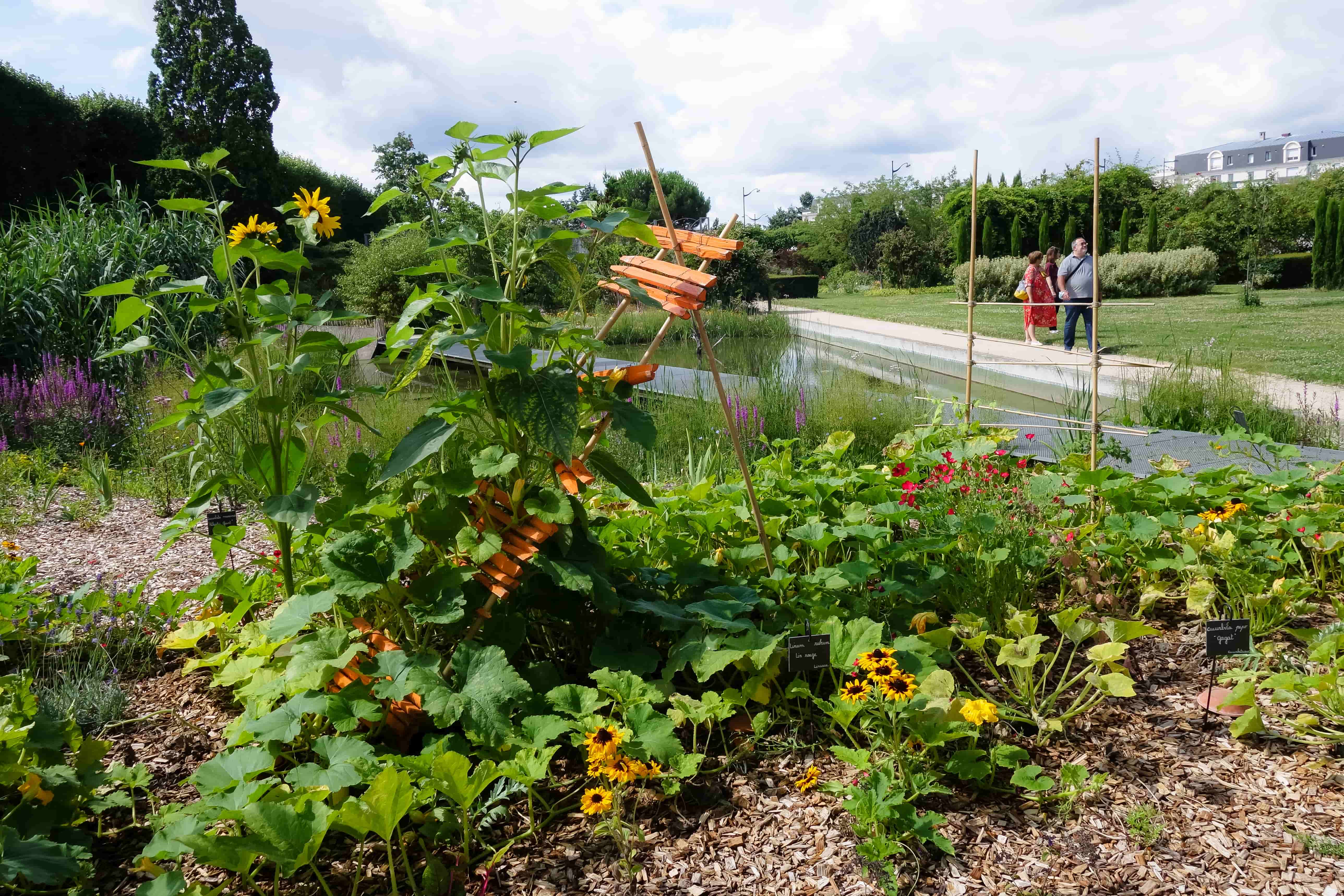 jardin des plantes orleans